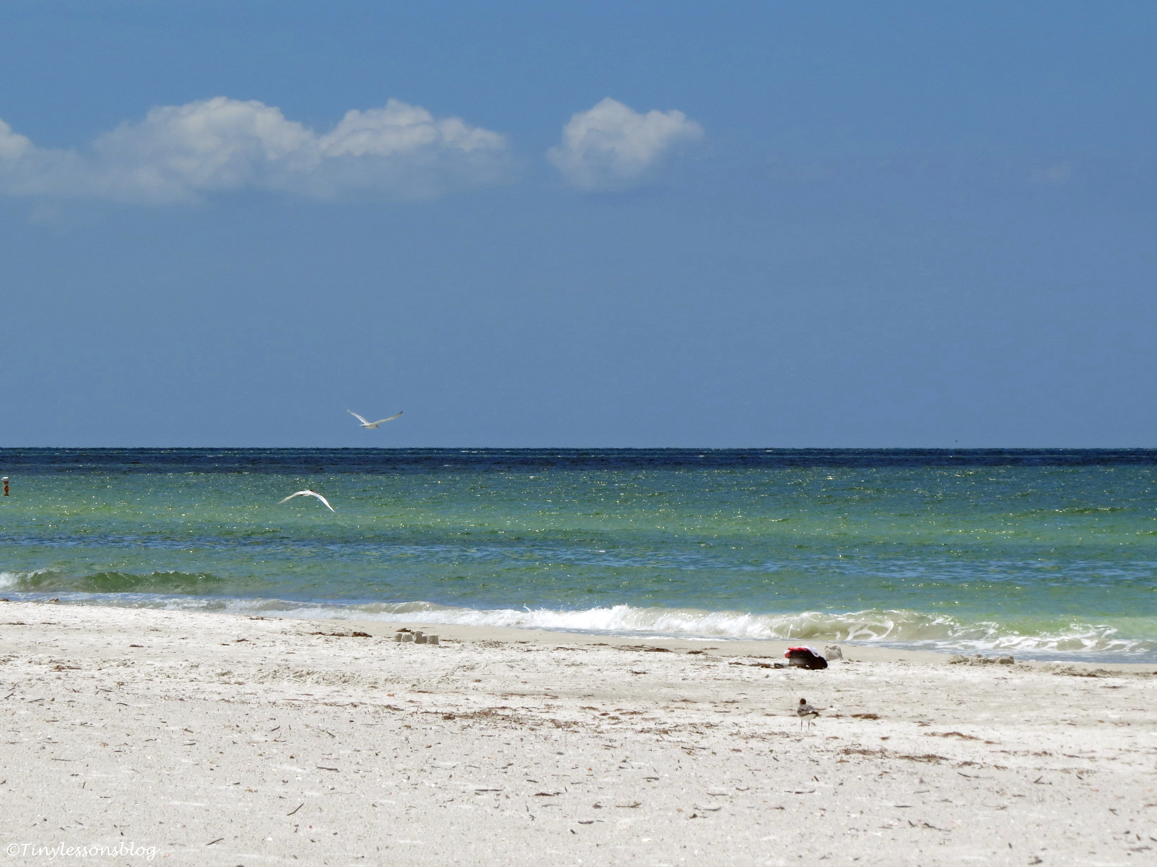 Gulf beach at Indian Rocks, Florida