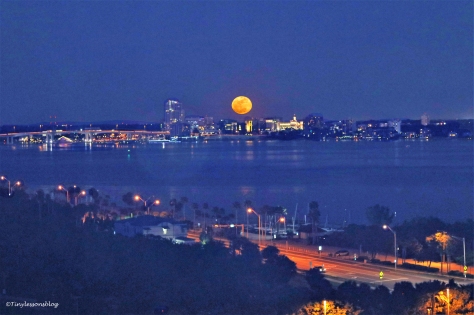 full-moon-rising-over-the-bay-ud102